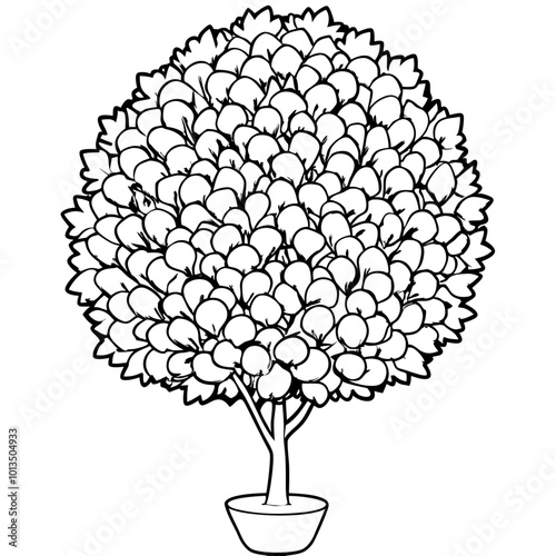 topiary bush outline coloring book page line art drawing