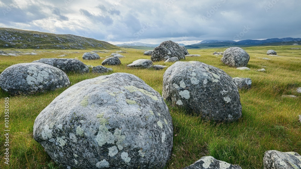 Field of large granite boulders scattered across a grassy plain, with rugged textures Field of large granite boulders scattered across a grassy plain, with rugged textures