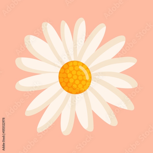 Chamomile flower. Botanical vector isolated illustration for postcard, poster, ad, decor, fabric and other uses.