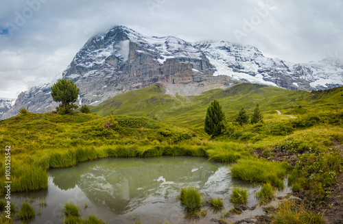 Stunning view of Eiger's north face and Grindelwald valley from Kleine Scheidegg, Grindelwald, Canton of Bern, Switzerland