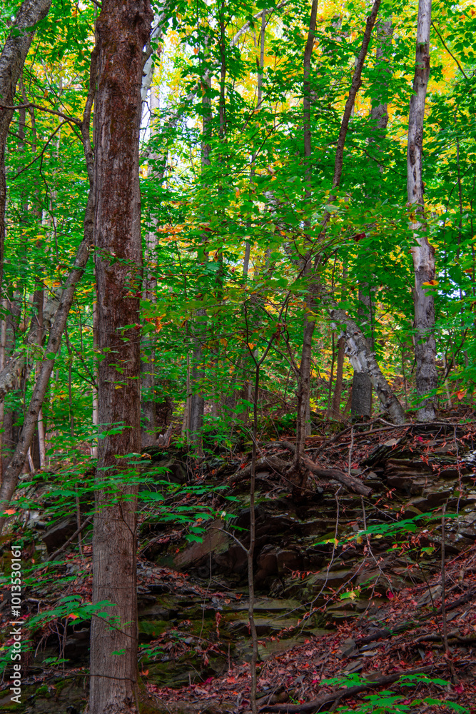 Magnificent autumn landscapes in the Canadian countryside in the province of Quebec