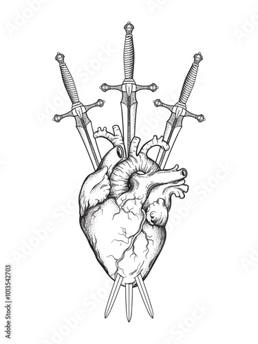 Realistic human heart pierced with three swords hand drawn black and white art. Flash tattoo or print design vector illustration