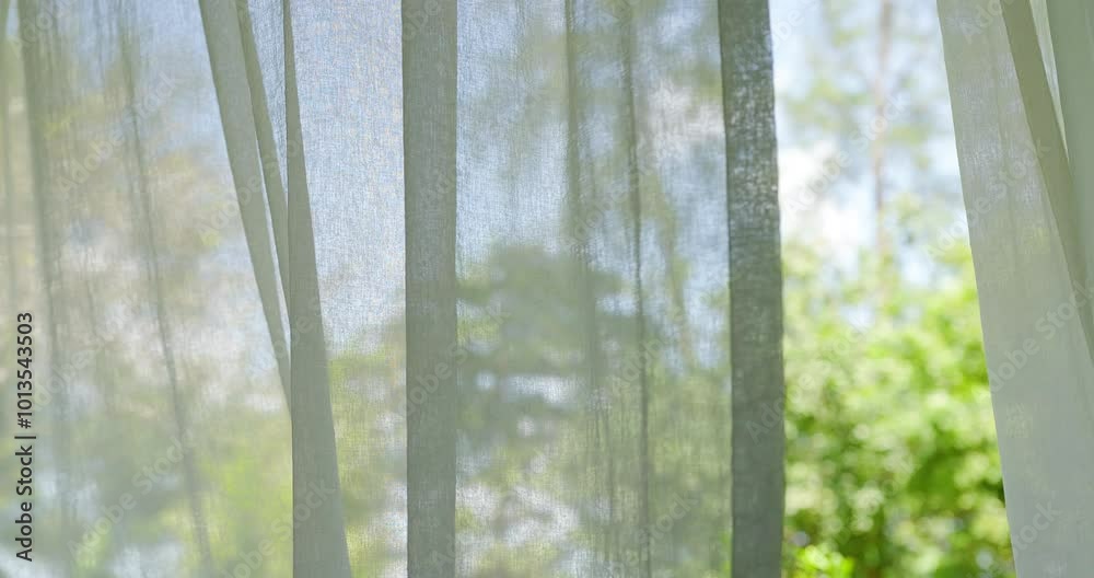 window in the morning. Wind blowing white curtain from open window living room tree garden outside background. 