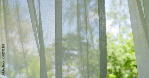 window in the morning. Wind blowing white curtain from open window living room tree garden outside background. 