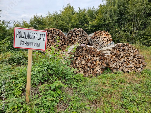 holzlagerplatz im wald