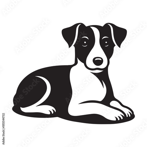 Jack Russell terrier  Dog Sitting  Vector illustration in black and white
