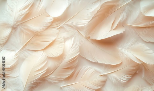Feathers background with beige colors blend and aesthetic soft style. Fragile and sensitive elements from nature. Neutral pastel design. Beautiful wallpaper with natural texture. Purity, Generative AI