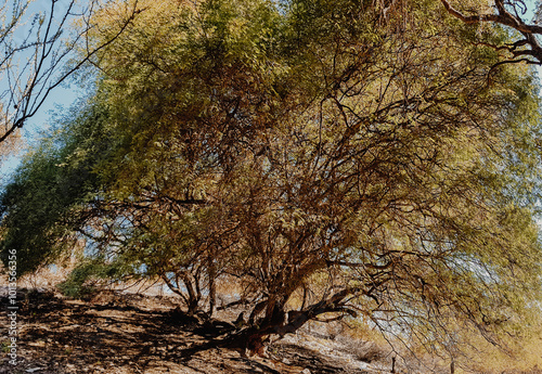 Bajo de Veliz, Province of San Luis, Argentina. photo