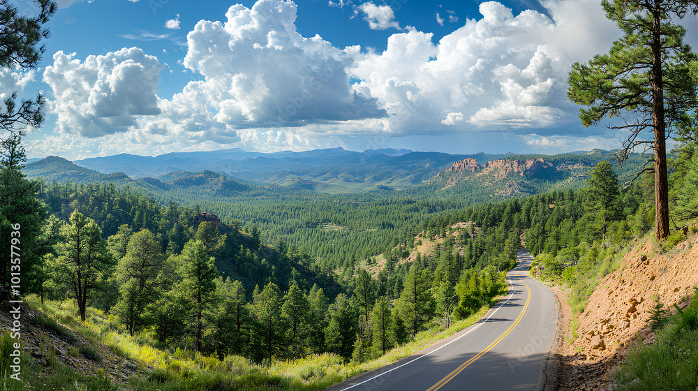 Obraz premium Scenic overlook with a road winding through pine forest below, panoramic beauty
