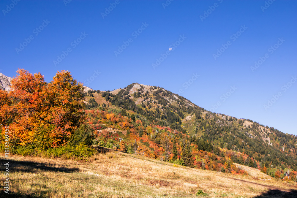 Beautiful Fall Autumn Hiking Trail views of Ice Box Canyon Ogden Utah Beautiful Fall Autumn Hiking Trail views of Ice Box Canyon Ogden Utah