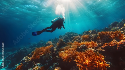 Wallpaper Mural A scuba diver explores a vibrant coral reef, surrounded by colorful tropical fish and bright sunbeams penetrating the crystal-clear turquoise water, illustrating an underwater paradise. Torontodigital.ca