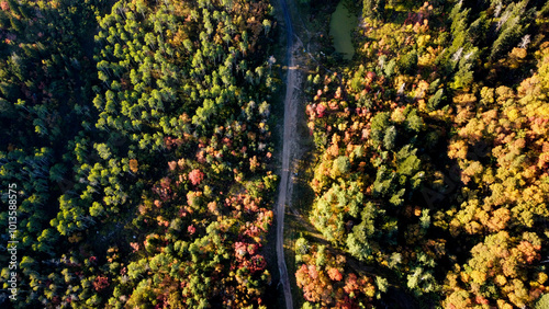 Beautiful Fall Aerial Autumn views of Snowbasin Huntsville Utah photo