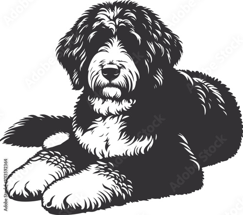 Bernedoodle Dog  different poses silhouette vector design