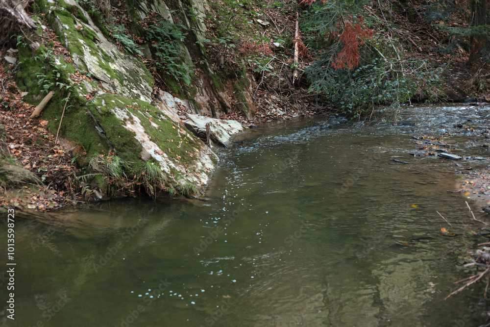 Mountain river in the forest. Shallow depth of field. Mountain river in the forest. Shallow depth of field.