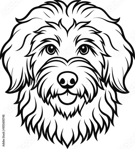 line drawing Bernedoodle dog vector illustration