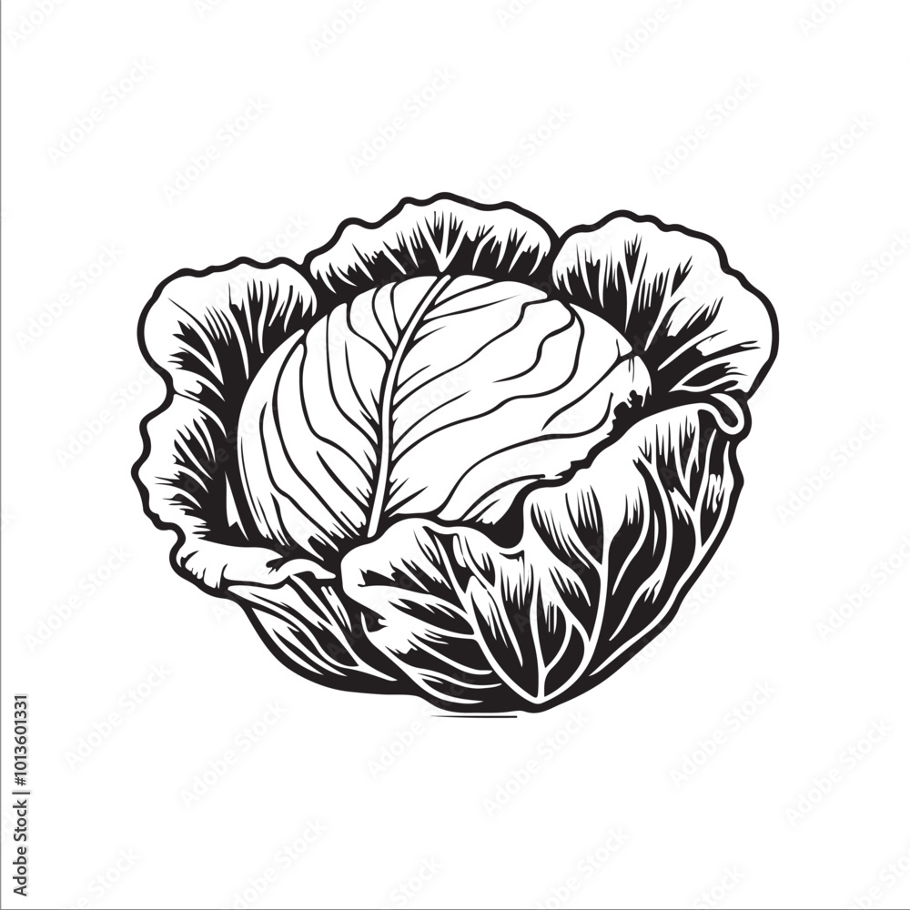 Obraz premium cabbage silhouette vector illustration, Simple, clear and beautiful arts and crafts 