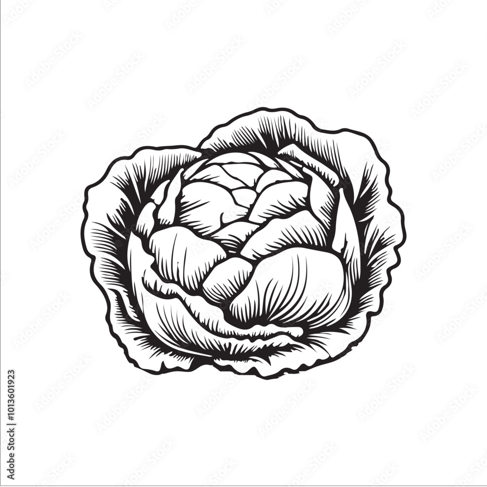 Obraz premium cabbage silhouette vector illustration, Simple, clear and beautiful arts and crafts 