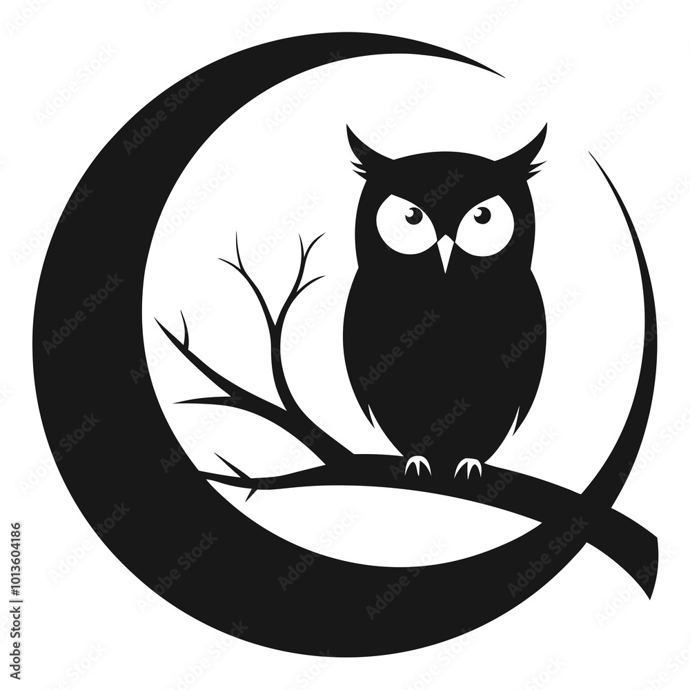 Fototapeta premium owl on a black background