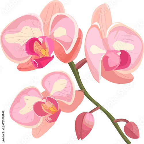 Elegant orchid blossom icon flat on white isolated background, vector design.