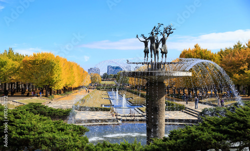 Obraz na płótnie 昭和記念公園 秋の銀杏並木(東京都立川市) w salonie