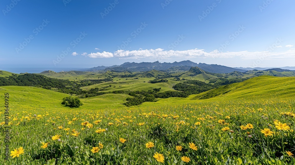 A vibrant landscape featuring rolling green hills dotted with yellow flowers under a clear blue sky, showcasing nature's beauty in a picturesque setting. A vibrant landscape featuring rolling green hills dotted with yellow flowers under a clear blue sky, showcasing nature's beauty in a picturesque setting.