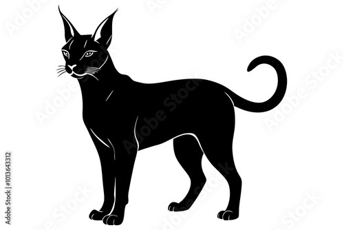 Caracal Feline with Long Tufted Ears Silhouette Vector Illustration photo