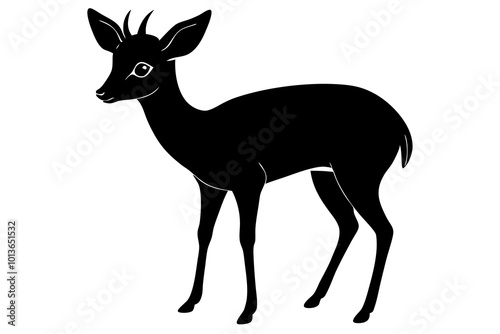 Dik Dik Small Antelope with Large Eyes and Short Legs Silhouette Vector Illustration