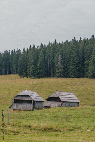 cabins in the mountains