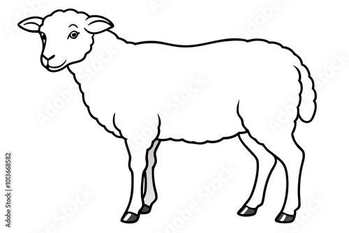 sheep illustration