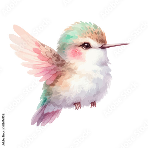 Cute Hummingbird Watercolor Illustration on White Background