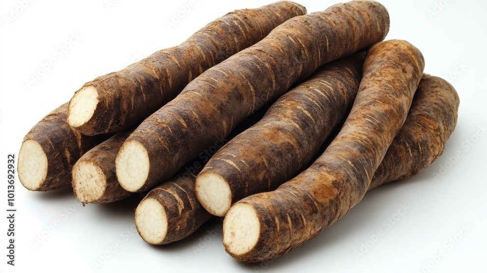 A close-up of a group of fresh salsify roots, a long, thin, brown, root vegetable with a white interior. A close-up of a group of fresh salsify roots, a long, thin, brown, root vegetable with a white interior.