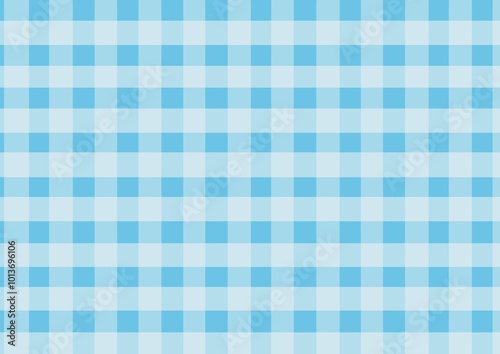 Blue Checkered Fabric
