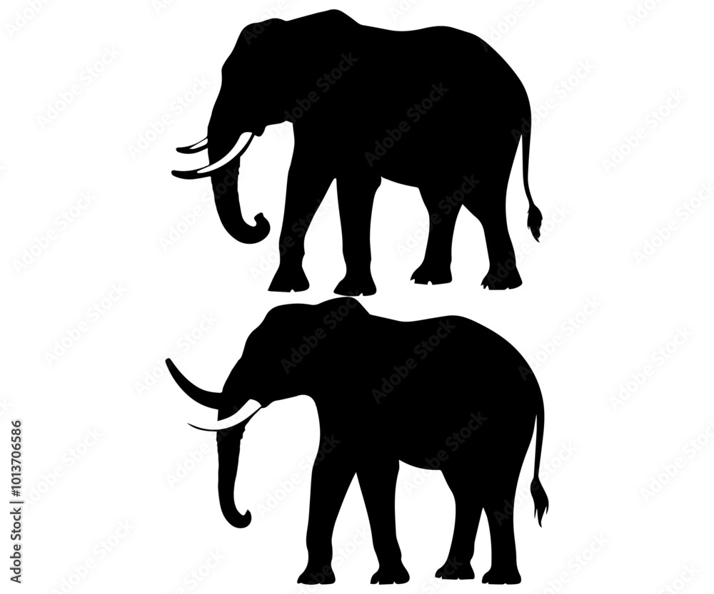 Fototapeta premium Elephant Set Silhouette isolated on white background