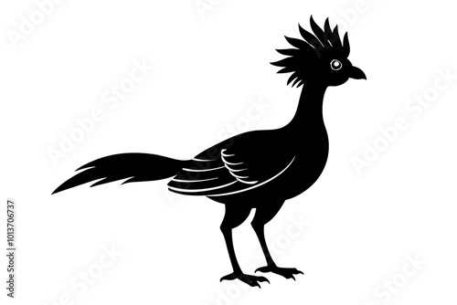 Hoatzin Bird-Like Appearance with a Crest Silhouette Vector Illustration