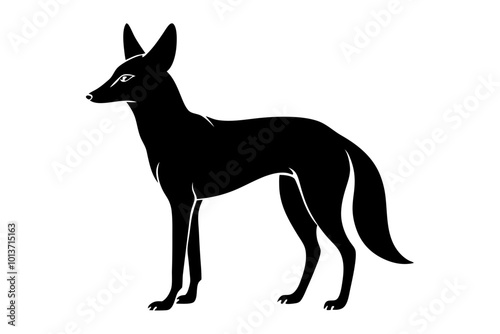 Jackal Slim Long-Legged Canine with an Alert Stance Silhouette Vector Illustration