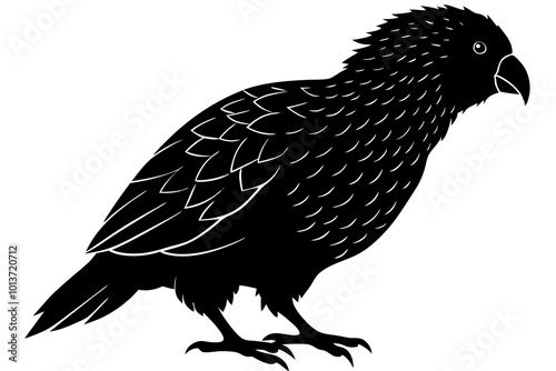  Kakapo Large Flightless Parrot Like Bird Silhouette Vector Illustration