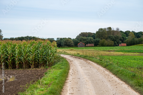 Bending road through the agriculture fields in Merchtem, Flanders, Belgium