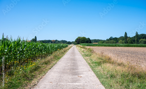 Perspective view over countryroad through agriculture fields  in Kortenaken, Belgium photo