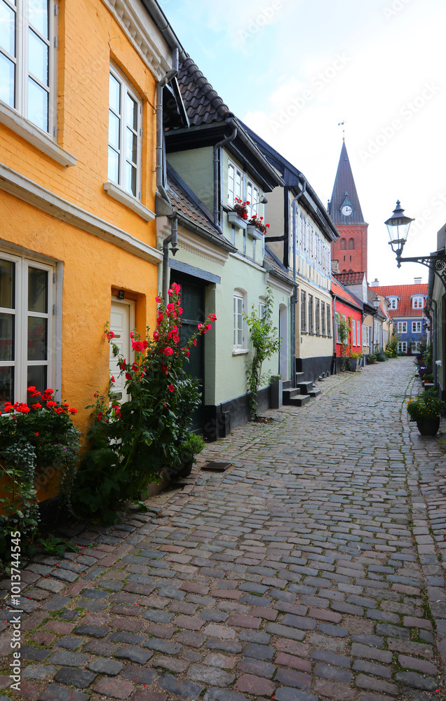 Naklejka premium cobblestone alley with typical northern Danish houses featuring grid windows flower beds and a bell tower at the end