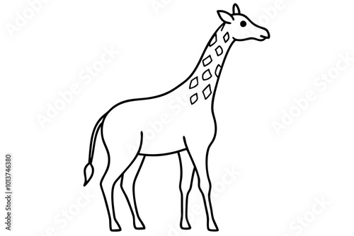 The Art of a Giraffe Stretching Its Neck Down in a Beautiful Vector Illustration
