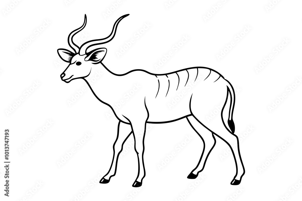 Fototapeta premium A Kudu Moving Elegantly Through the Grasslands with Its Head Held Proudly