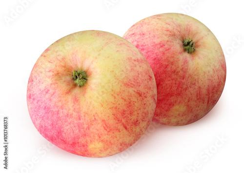 striped yellow-red rustic apples isolated on a white background. two whole fruits with shade.