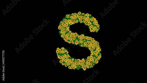 Beautiful illustration of English alphabet S with green leaves and yellow daisy flowers on plain black background