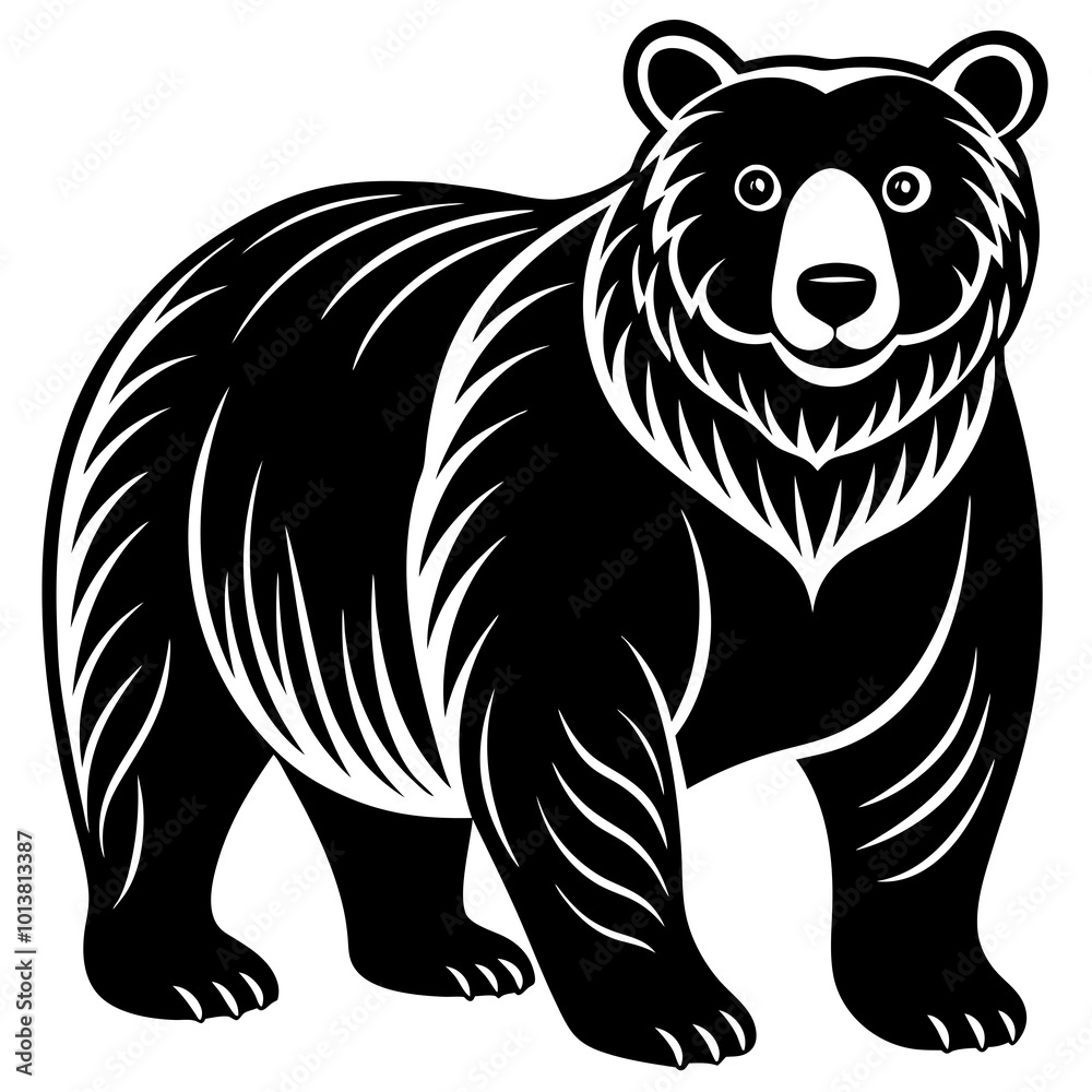 illustration of a bear on white background illustration of a bear on white background