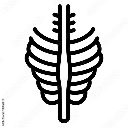 ribs