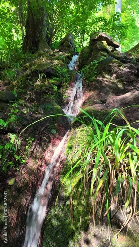 A gentle stream flows along a stony bank in a peaceful forest setting on a sunny day.