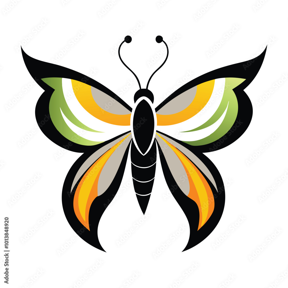 butterfly illustration on a white butterfly illustration on a white