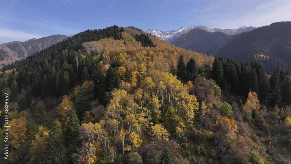 Picturesque slopes of the Trans-Ili Alatau mountains covered with yellow trees and fir trees in the south-east of Kazakhstan on an autumn evening Picturesque slopes of the Trans-Ili Alatau mountains covered with yellow trees and fir trees in the south-east of Kazakhstan on an autumn evening