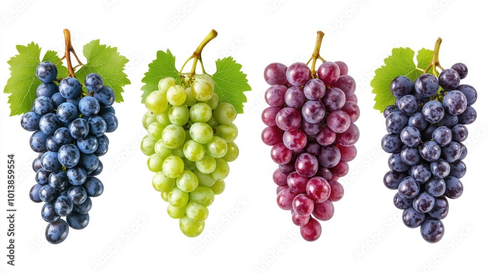 Collection of colorful grapes in purple, green, and red varieties