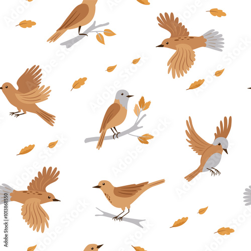 Forest birds vector seamless pattern. Birds in different poses. Vector cute animals on white background.